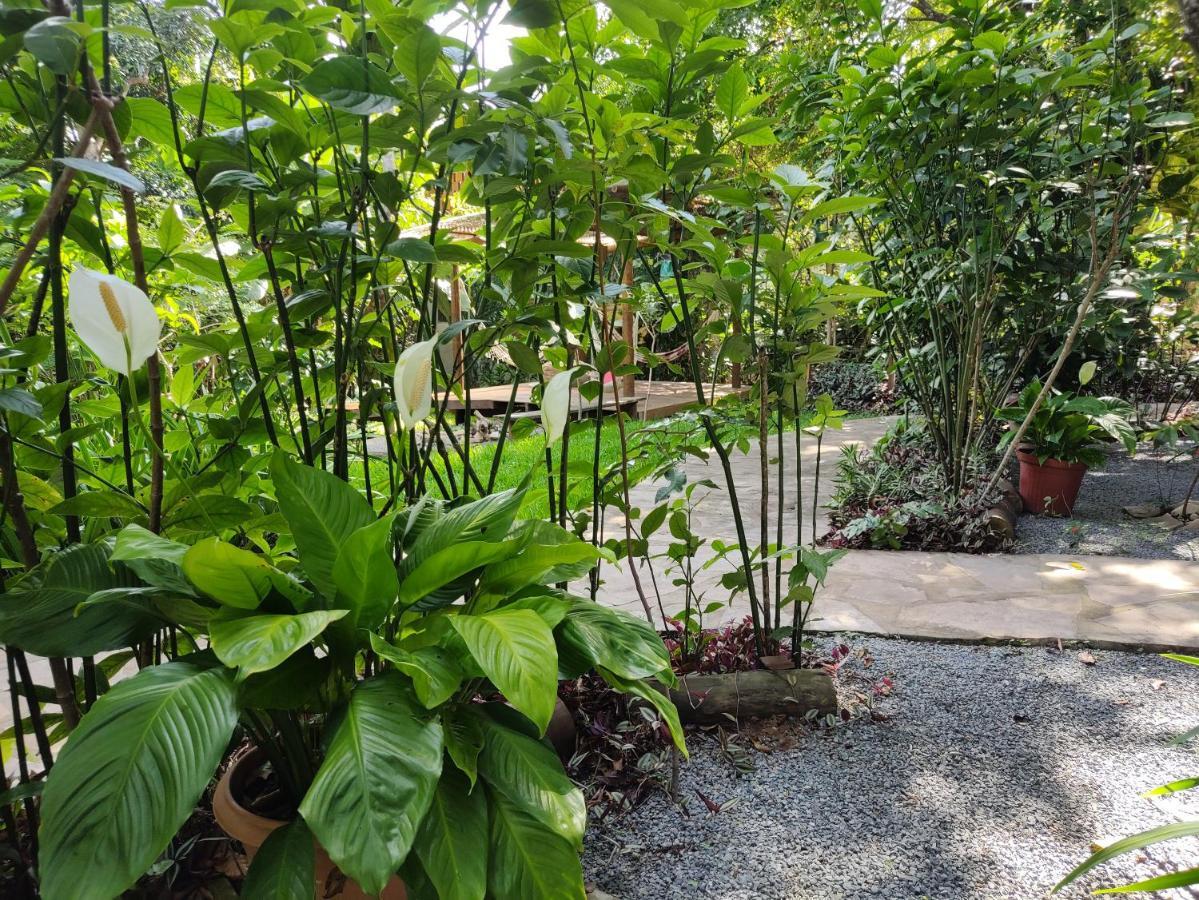 Casa Viva a Vida B&B Lencois Exterior foto