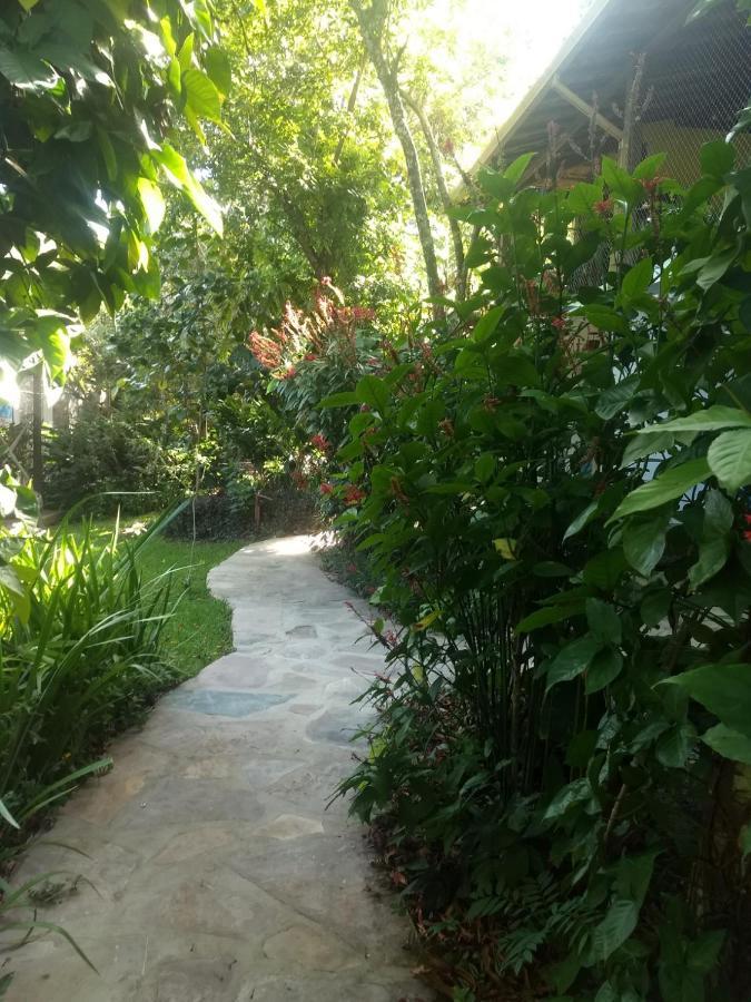 Casa Viva a Vida B&B Lencois Exterior foto